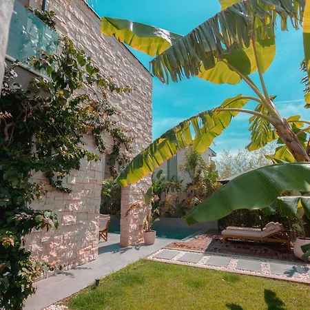 Villa Escape By Form Olea Dhermi